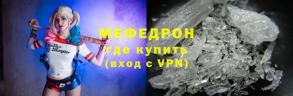индика Кулебаки