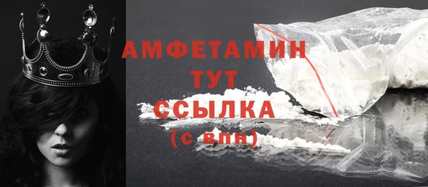 прущие грибы Краснослободск