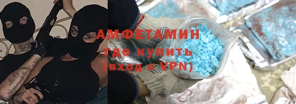 индика Кулебаки