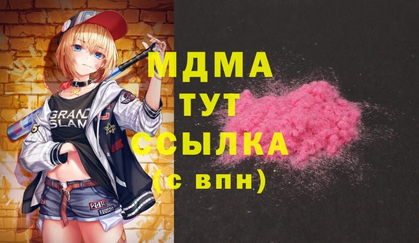 индика Кулебаки