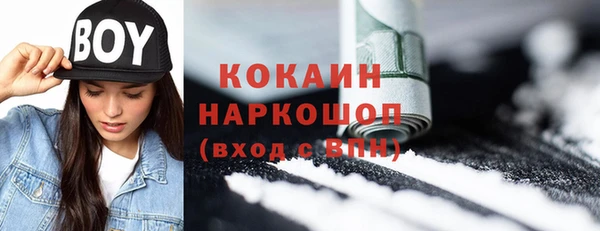 индика Кулебаки