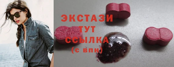 индика Кулебаки