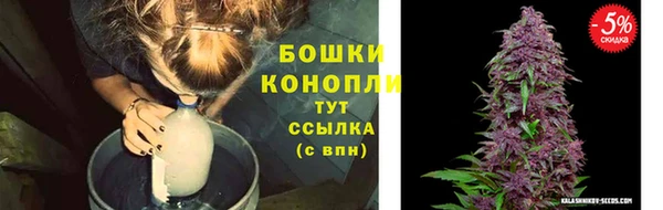 ALPHA PVP Куйбышев
