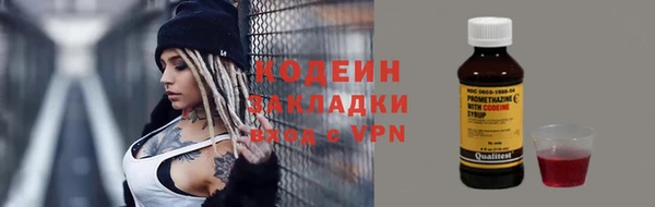 индика Кулебаки