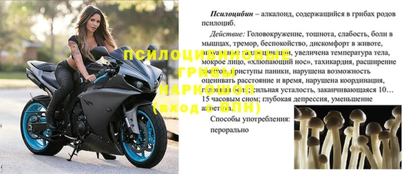 индика Кулебаки