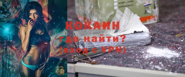 индика Кулебаки