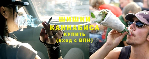 индика Кулебаки