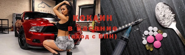 индика Кулебаки