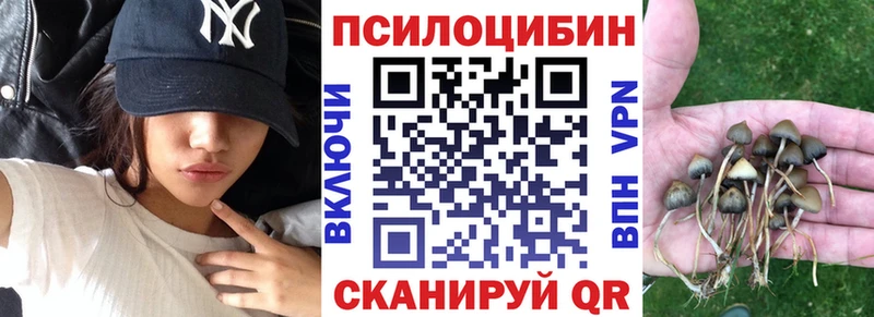 Купить где  Уяр  Галлюциногенные грибы GOLDEN TEACHER 